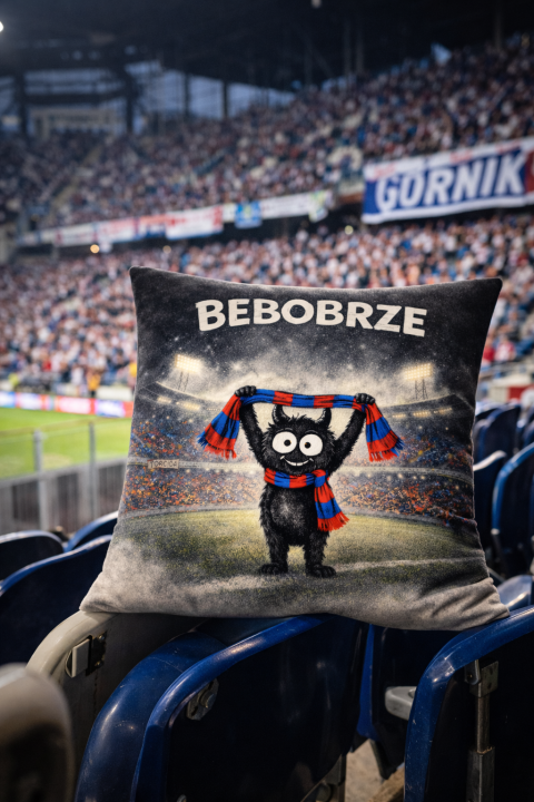 poszewka bebobrze zabrze stadion.png