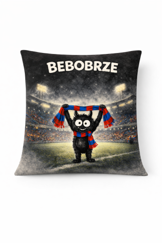 poszewka bebobrze Zabrze.png