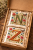 saszetka litera N Z.png